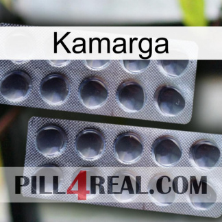 Kamarga 31